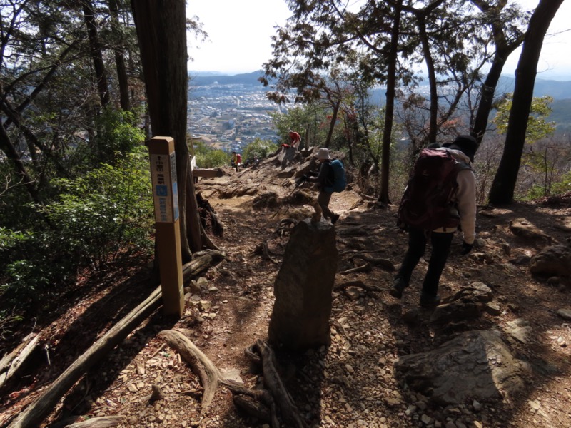 日和田山、物見山